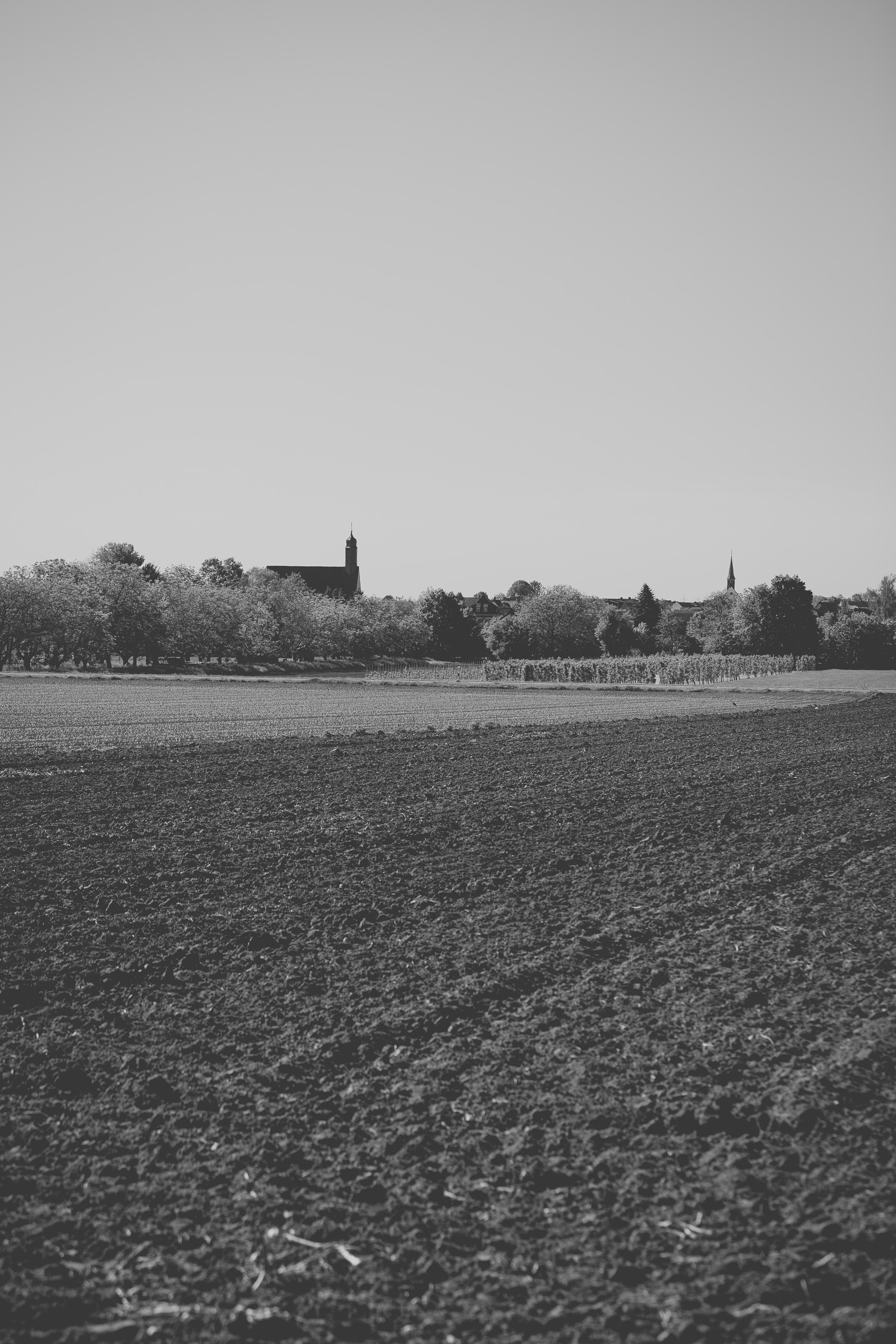 Meckenheim, Pfalz - Weingut Braun