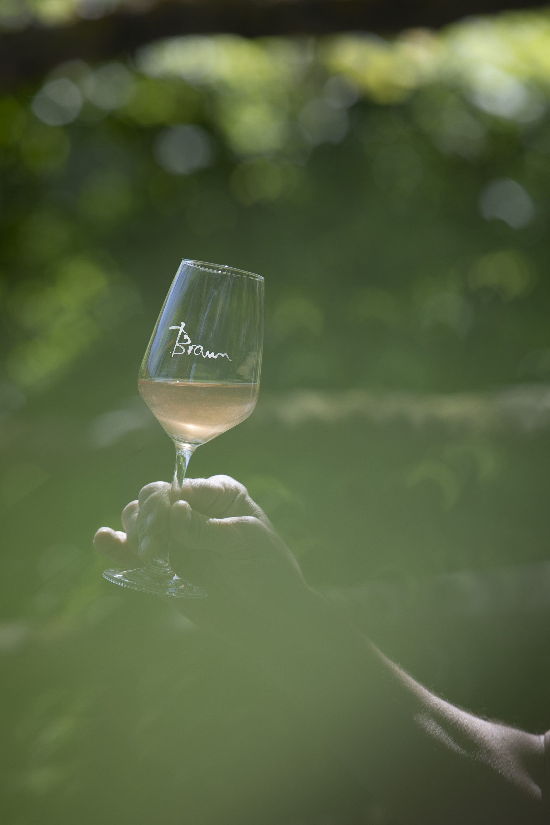 Weingut Glas - Weingut Braun